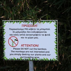 (stern?) Bamboo sign, February 2016
