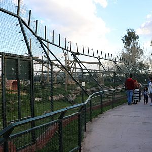 Barbary macaque enclosure, February 2016