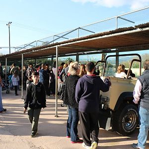 Angolan lion viewing area, February 2016