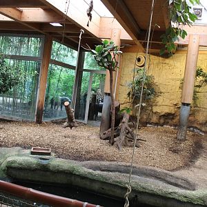 ?quatorium : Indoor-enclosure Pygmy hippo
