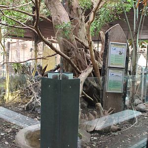 ?quatorium : Neotropical enclosure