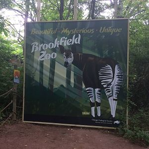 New sign in Habitat Africa! The Forest