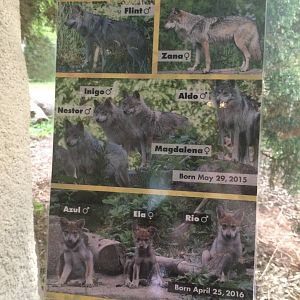 Sign on the Brookfield Zoo wolves