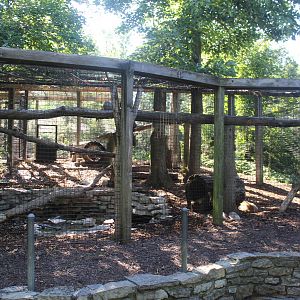 Jul. 2016 - Zoo Central - Canada Lynx Exhibit