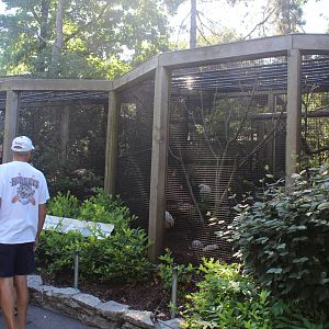 Jul. 2016 - Zoo Central - Bird Exhibits (Four Species)
