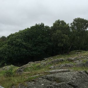 European Elk exhibit
