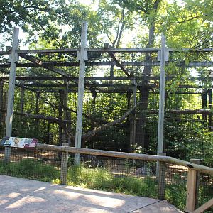 Jul. 2016 - African Journey - Amur Leopard Exhibit