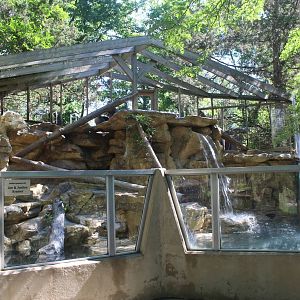 Jul. 2016 - Zoo Central - Odd River Otter Exhibit