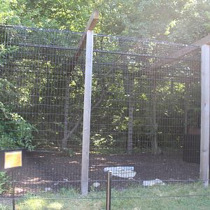 Jul. 2016 - Zoo Central - Komodo Dragon Summer Exhibit