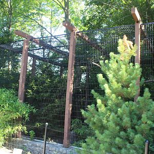 Jul. 2016 - Zoo Central - Eurasian Eagle Owl Exhibit