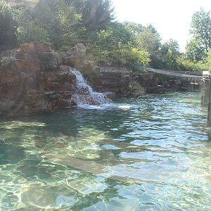 Jul. 2016 - Zoo Central - Sea Lion Exhibit (Left Viewing)