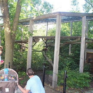 Jul. 2016 - Zoo Central - Red Panda Exhibit