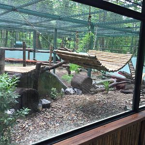 Free the Bears Tat Kuang Si Bear Rescue Centre