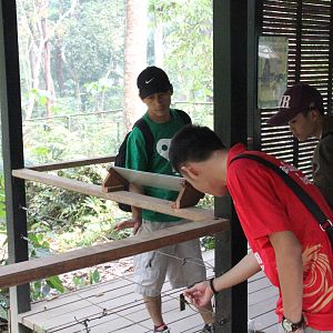 Free the Bears Tat Kuang Si Bear Rescue Centre