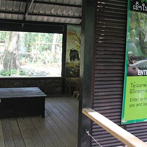 Free the Bears Tat Kuang Si Bear Rescue Centre