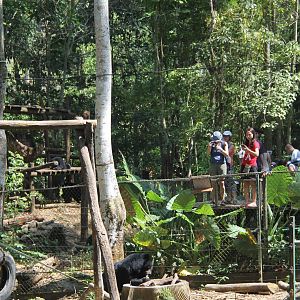 Free the Bears Tat Kuang Si Bear Rescue Centre