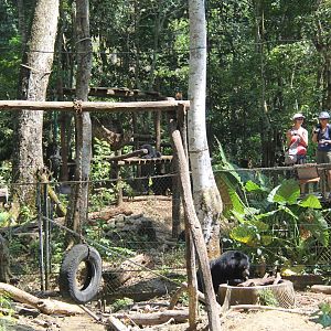 Free the Bears Tat Kuang Si Bear Rescue Centre