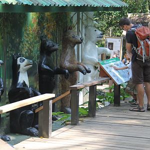 Free the Bears Tat Kuang Si Bear Rescue Centre