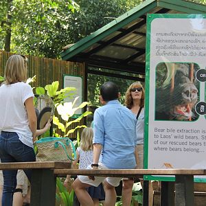 Free the Bears Tat Kuang Si Bear Rescue Centre