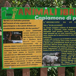 Panel on hybridization