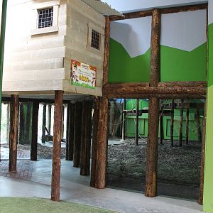 Indoor chimp enclosure
