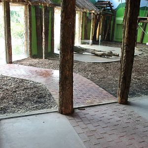 Indoor chimp enclosure