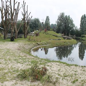 Chimp outdoor enclosure