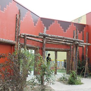 Viewing window chimps