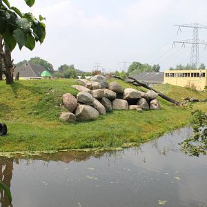 Chimp outdoor enclosure
