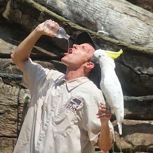 Jul. 2016 - Wings of Wonder - Bob and Sydney