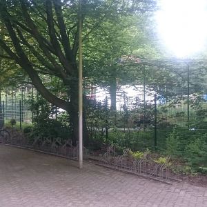 Brown bear enclosure