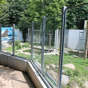 Polar bear enclosure