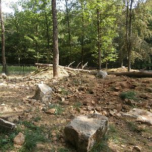 Le Domaine des Grottes de Han - Marmot enclosure