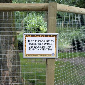 Giant anteater enclosure under construction