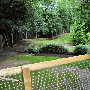 Giant anteater enclosure under construction