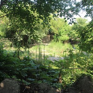 Jul. 2016 - Rhino Reserve - Grey Crowned Crane Exhibit (Former Zebra Exhibi