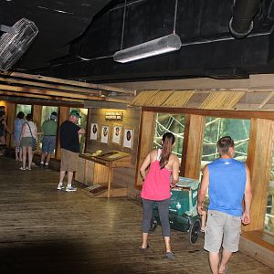 Jul. 2016 - Indonesian Rainforest - Orangutan Valley