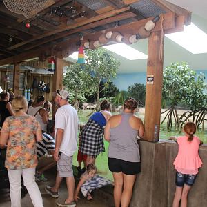 Jul. 2016 - Stingray Bay (New)