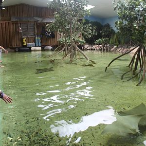 Jul. 2016 - Stingray Bay (New)