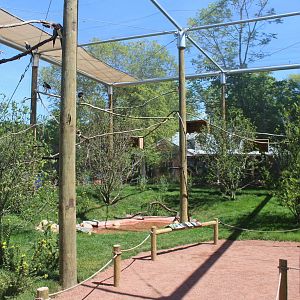 Jul. 2016 - Australian Adventure - Walk-through Aviary (