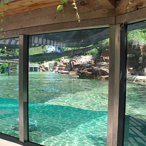 Jul. 2016 - Zoo Central - Sea Lion Exhibit