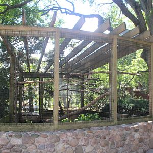 Jul. 2016 - Zoo Central - Red-tailed Hawk Exhibit