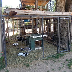 7/13/2016 - Goat Cage