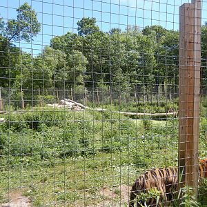 7/13/2016 - Bengal Tiger Habitat #1
