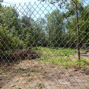 7/13/2016 - Wolf Habitat #1