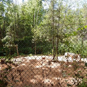 7/13/2016 - Wolf Habitat #2