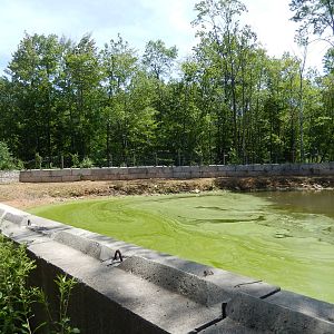 7/13/2016 - Nile Hippo Exhibit (Left Half)