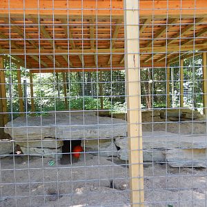 7/13/2016 - American Badger Cage