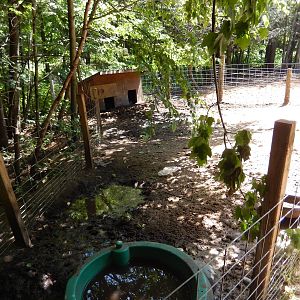 7/13/2016 - Pot-Bellied Pig Pen