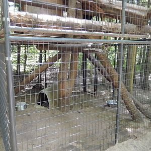 7/13/2016 - Binturong Cage (Lower Half)